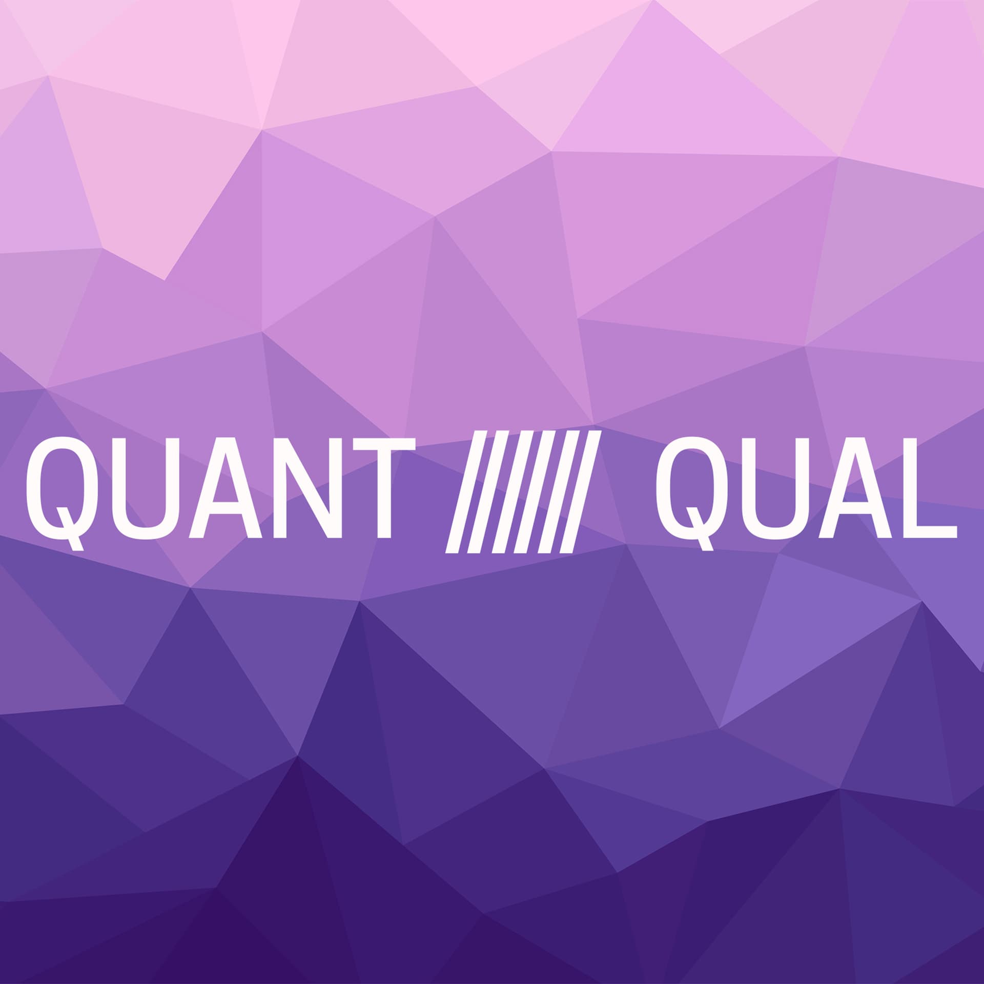 Qual/Quant Feedback Loops